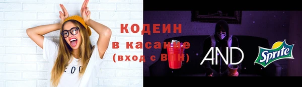соль ск Кулебаки