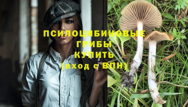 соль ск Кулебаки